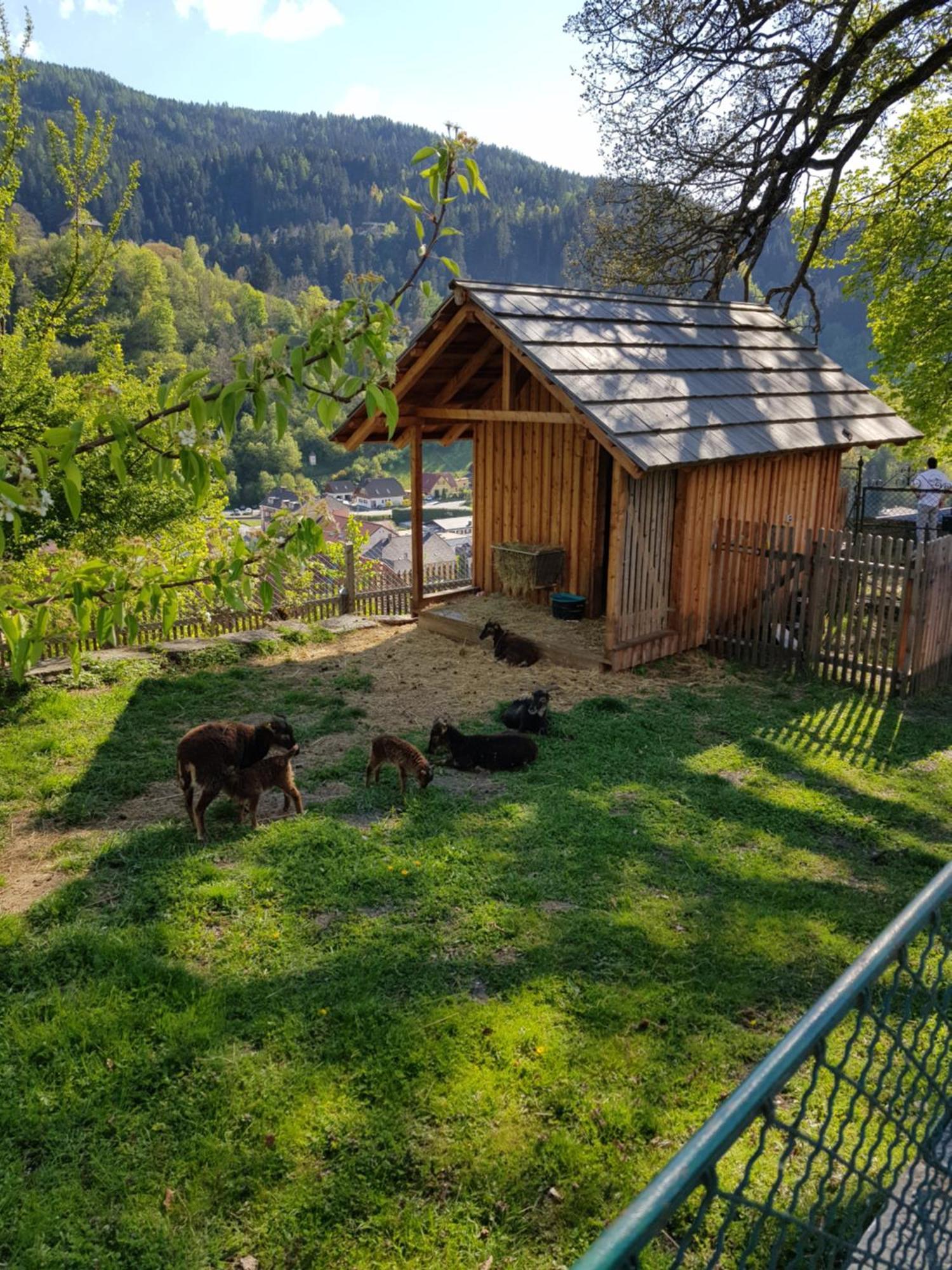 Haus Estelle Sankt Lorenzen ob Murau Exterior foto