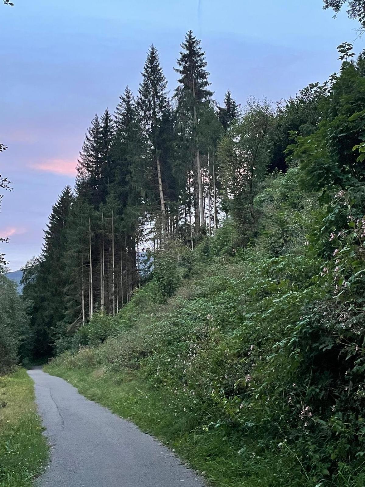 Haus Estelle Sankt Lorenzen ob Murau Exterior foto